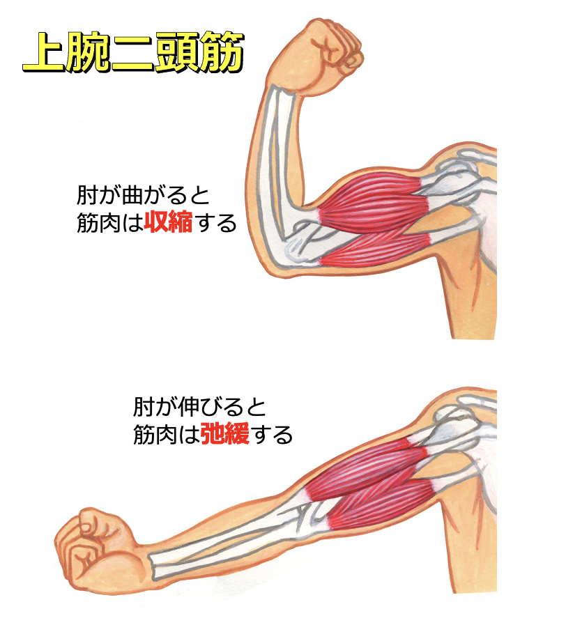 画像に alt 属性が指定されていません。ファイル名: スクリーンショット-2021-04-18-19.26.01.png