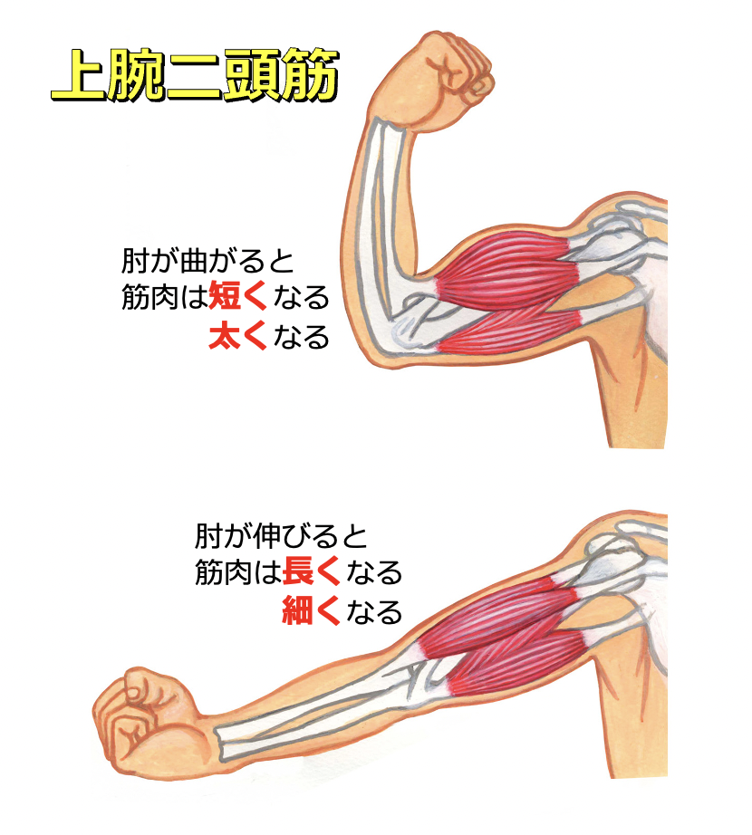 画像に alt 属性が指定されていません。ファイル名: スクリーンショット-2021-04-18-19.33.26-1.png