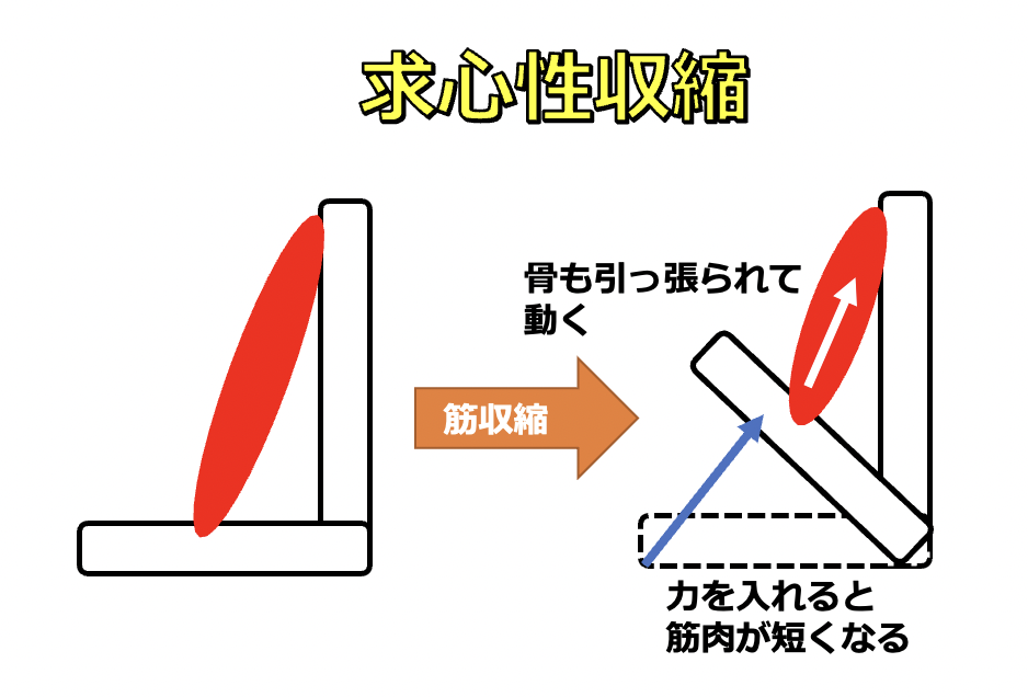 画像に alt 属性が指定されていません。ファイル名: スクリーンショット-2021-04-18-19.35.34.png