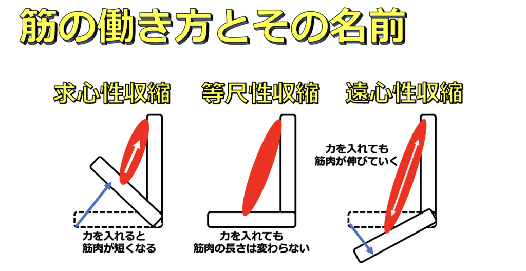 画像に alt 属性が指定されていません。ファイル名: スクリーンショット-2021-04-18-22.03.03-1024x528.png